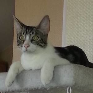 Meet your Posher, Pam